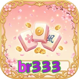 br333